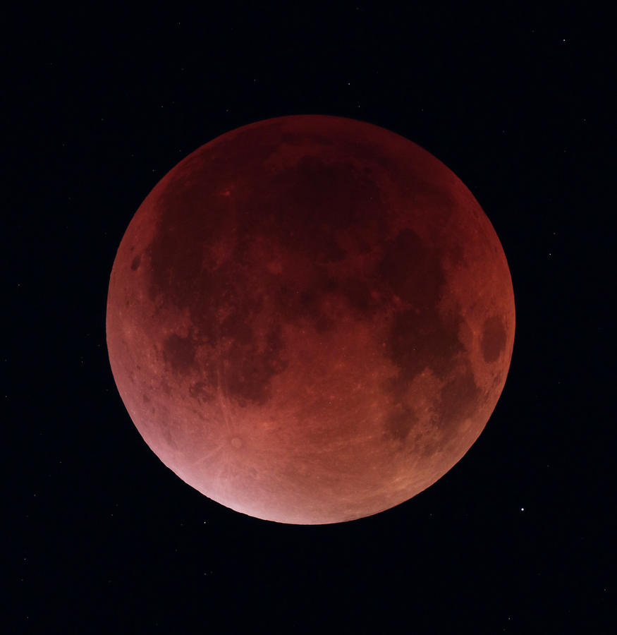 2025ǯ